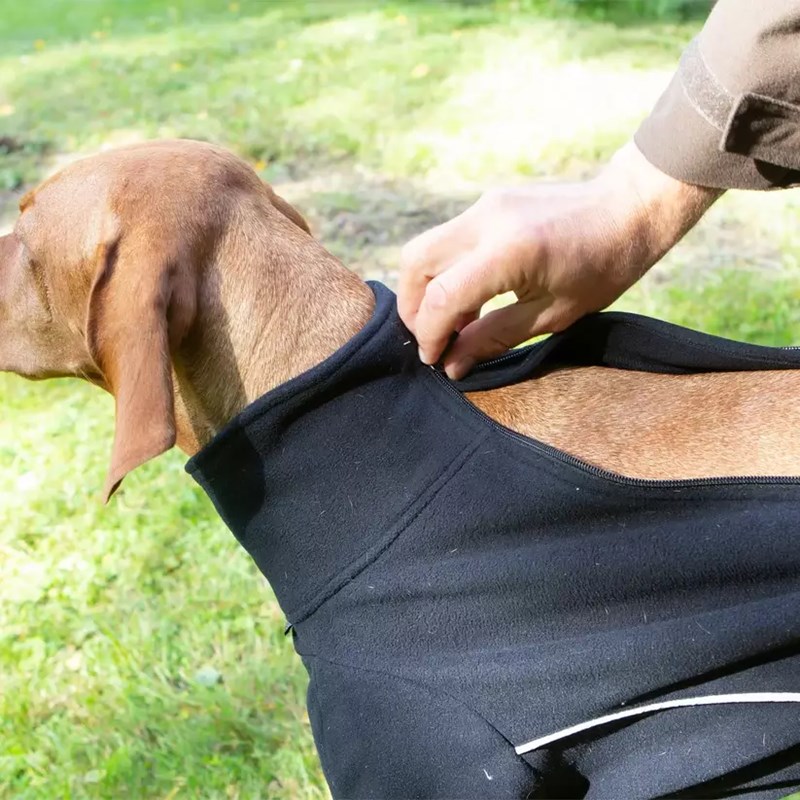 Pull pour chien Cassie (T.25) - Photo 4