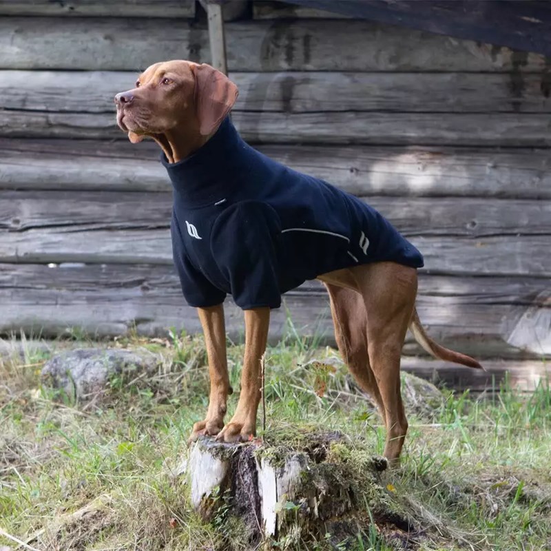 Pull pour chien Cassie (T.25) - Photo 2