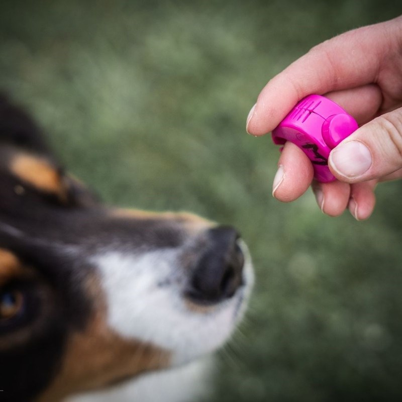 Finger Clicker pour chien (S, Bleu) - Photo 3