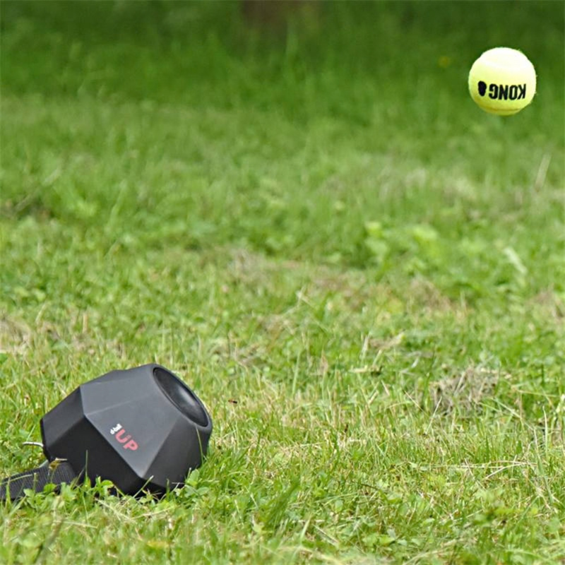 Lanceur de balles D-Ball Up - Photo 3