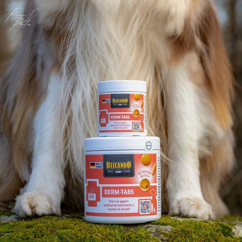 Complément alimentaire pour chien santé de la peau et du poil - Derm TABS (110 g) - Photo 3