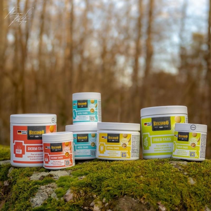 Complément alimentaire pour chien santé de la peau et du poil - Derm TABS (110 g) - Photo 4