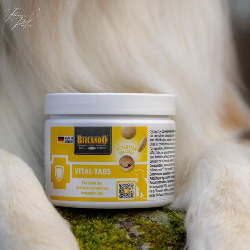 Complément alimentaire pour chien immunité et énergie - Vital TABS (110 g) - Photo 4