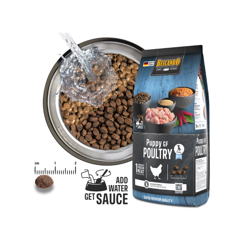 Croquettes pour chien sans céréales - Puppy GF Poultry (4 Kg, Poulet) - Photo 4