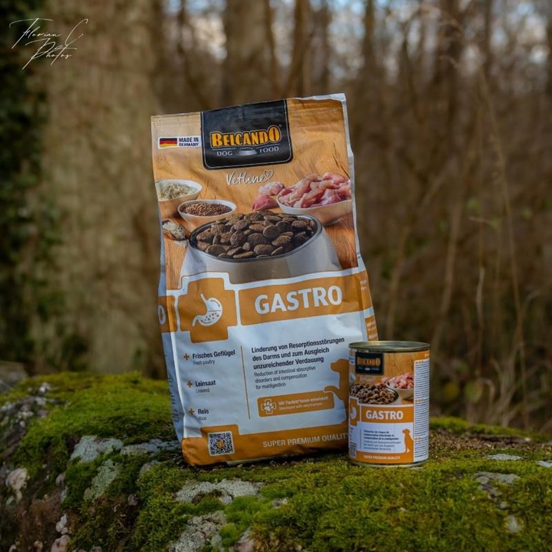Croquettes pour chien digestion - Vetline Gastro (1,8 Kg, Poulet) - Photo 9