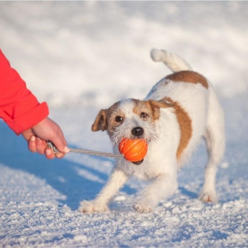 Balle en mousse avec corde pour chien (5 cm) - Photo 3