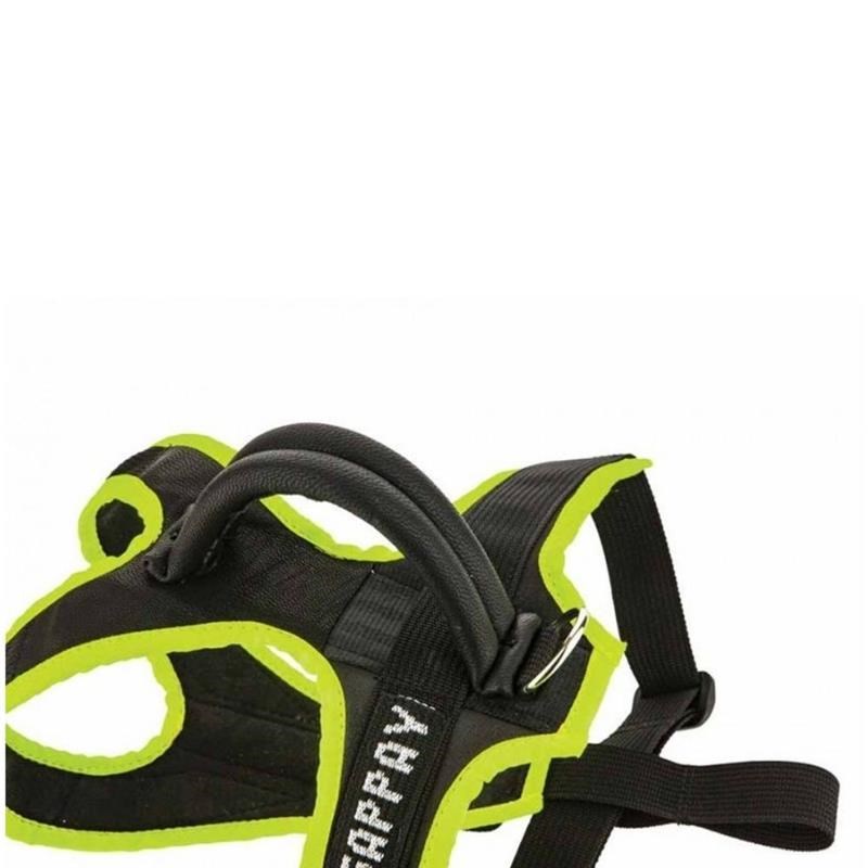 Harnais STRAP pour chiots et jeunes chiens (L) - Photo 15