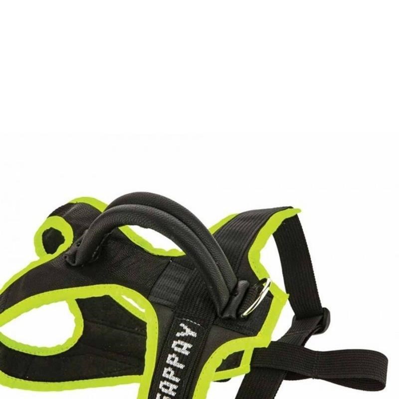 Harnais STRAP pour chiots et jeunes chiens pour chien (S) - Photo 10