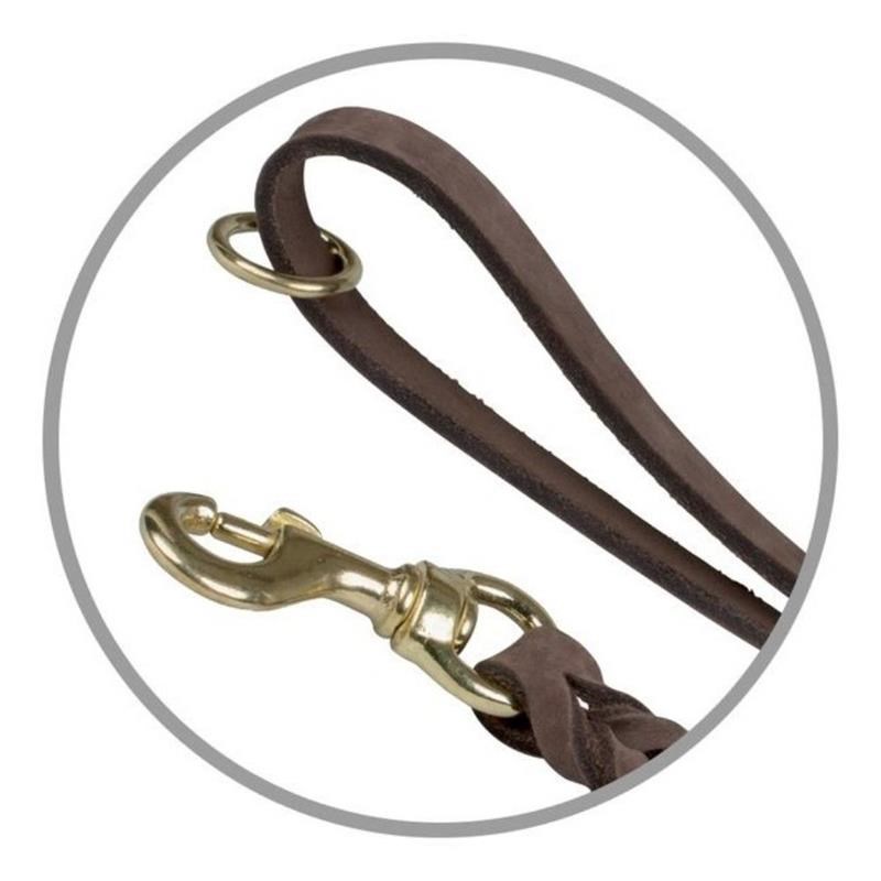Laisse en cuir avec poignée - pour chien (120 cm - 15 mm, 1,2 m) - Photo 2