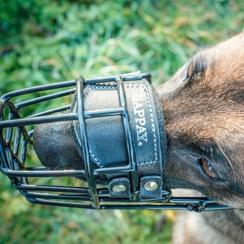 Muselière corbeille métal caoutchouté noir (Malinois femelle) - Photo 3