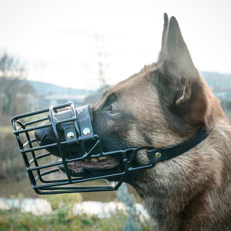 Muselière corbeille métal caoutchouté noir (Malinois femelle) - Photo 4