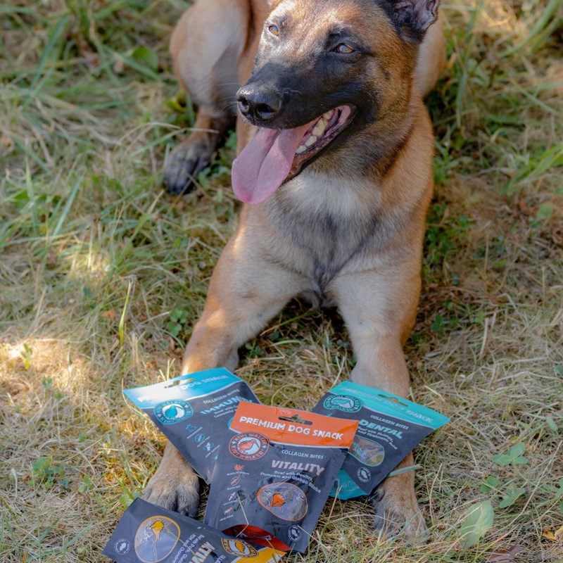Friandise pour chien au Collagène (Activité) - Photo 4