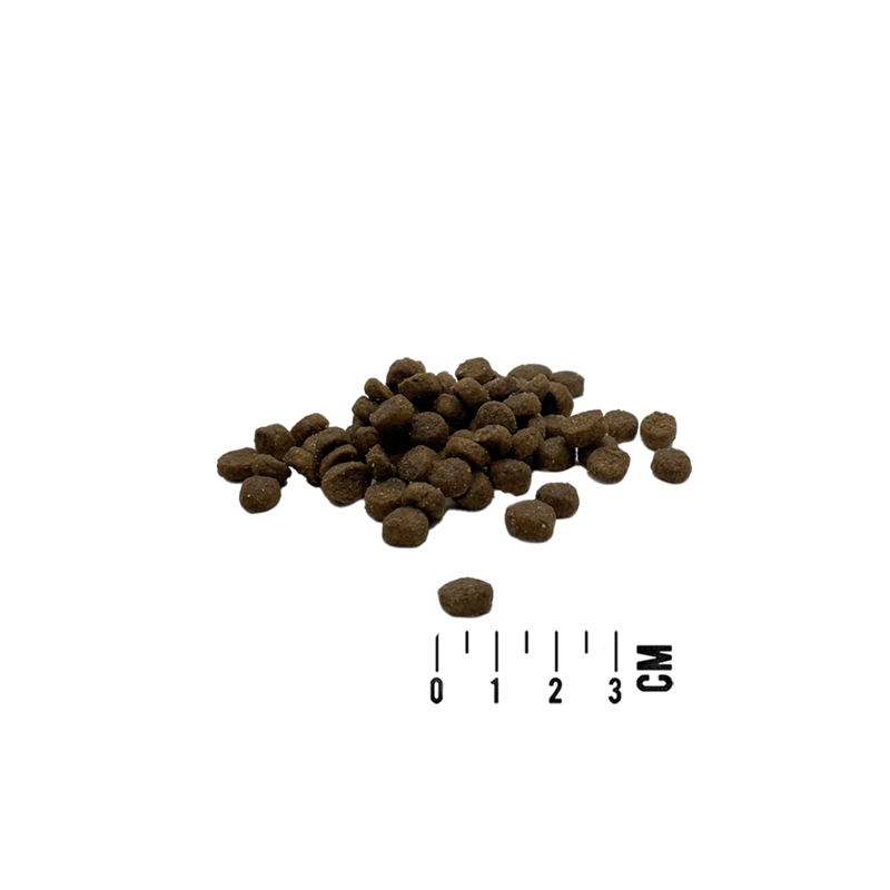 Croquettes pour chiot - Canard, dinde et saumon (11,34 Kg, Saumon, Canard, Dinde) - Photo 2
