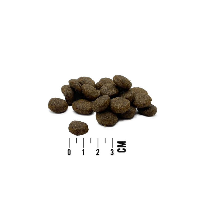 Croquettes pour chien - Dinde - Photo 2