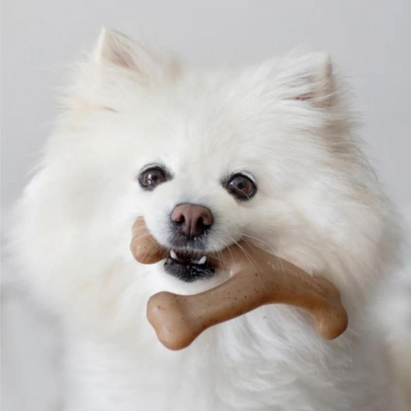 Wishbone bacon pour chien (S, Bacon) - Photo 2
