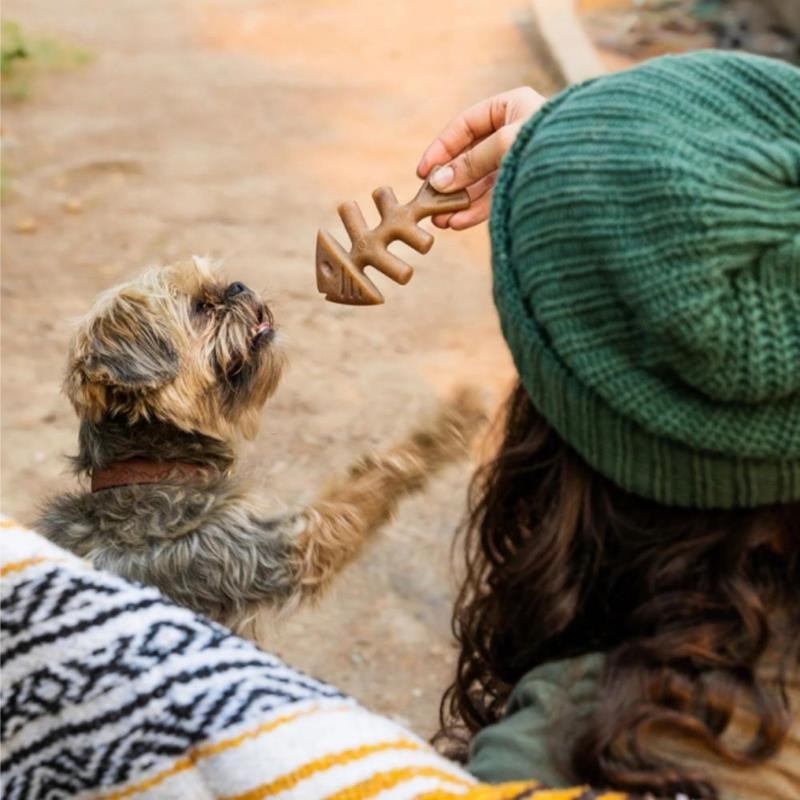Fishbone pour chien (S, Saumon) - Photo 2