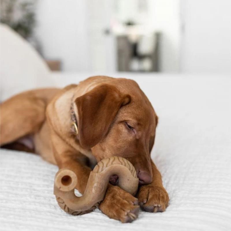 Tripebone tripes boeuf pour chien (S, Boeuf, Tripes) - Photo 3