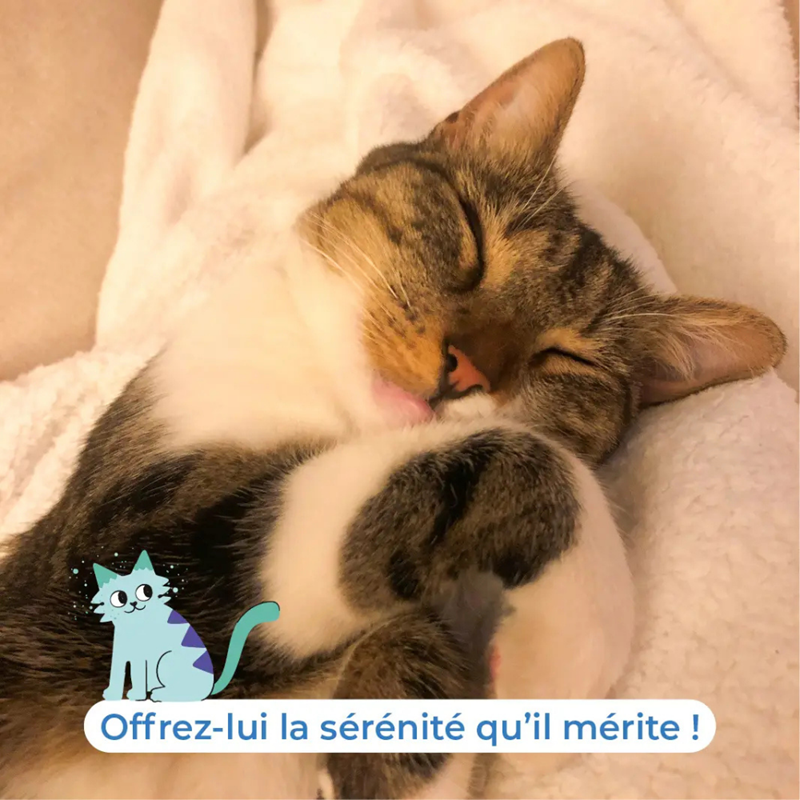 SecureCat Home Refill - Recharge du diffuseur de phéromones pour chat - Photo 4