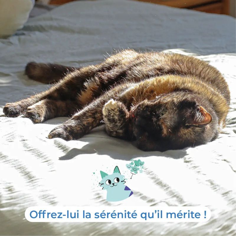 SecureCat Transport - Brume à base de phéromones pour chat - Photo 5