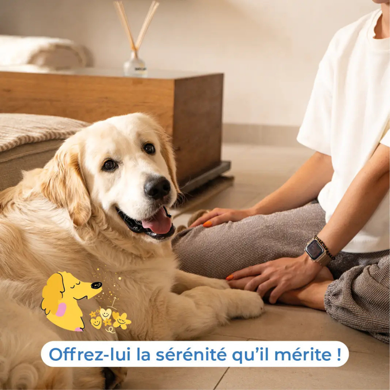 SecureDog Home - Diffuseur de phéromones pour chien - Photo 5