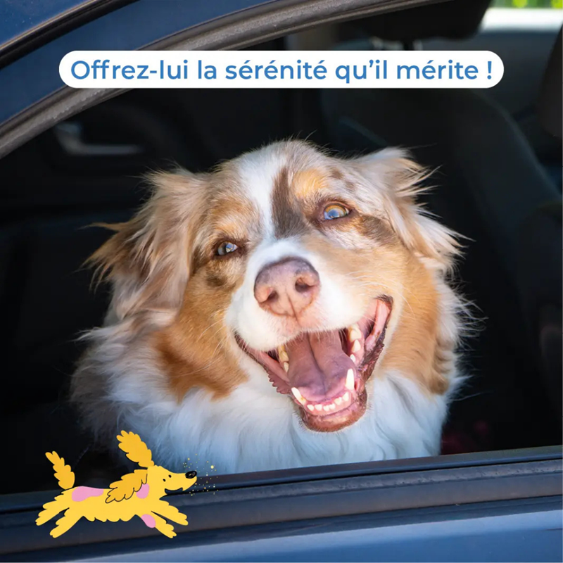 SecureDog Transport - Brume à base de phéromones pour chien - Photo 6