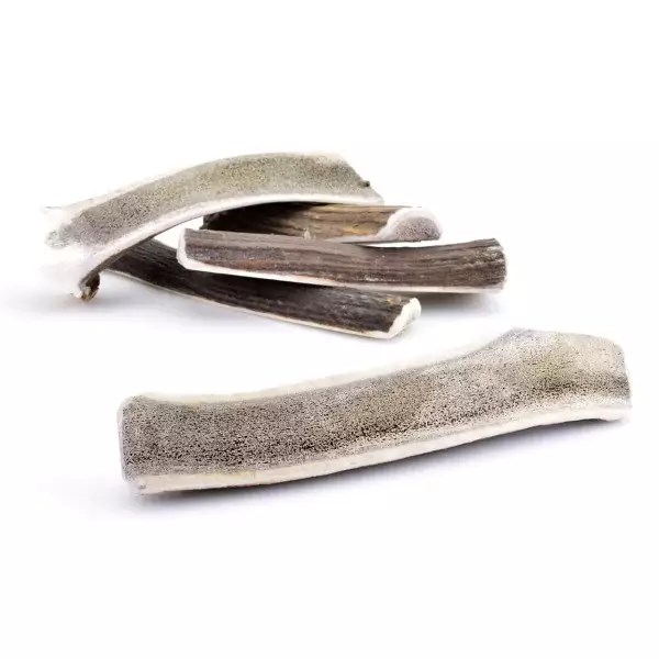 friandise bois de cerf