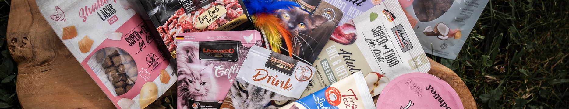 <h1>Friandises <span class="surTitre">pour chat</span> </h1>
