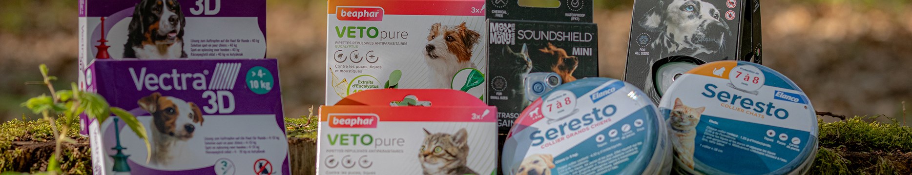 <h1>Sant&amp;eacute; et hygi&amp;egrave;ne <span class="surTitre">pour chien</span> </h1>
